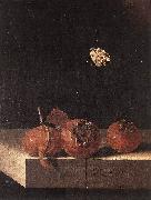 COORTE, Adriaen Three Medlars with a Butterfly zsdgf oil